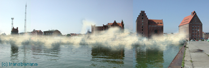 Deutsches Meeresmuseum Stralsund - Internationaler Wettbewerb - Projekt Mutierte Küstenlandschaft von Stralsund - © transbanana I Margarethe Mueller & Partner