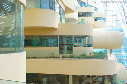 Green / Zero-Energy Building Suntech / Headquarters Suntech Wuxi - The fingers: part with offices - Image: © transbanana